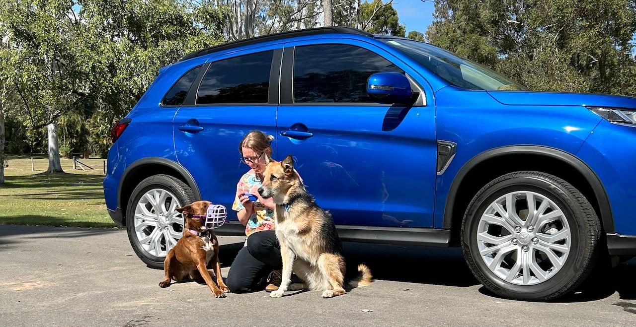 Poppies Mobile Veterinary Services